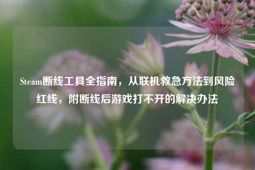 Steam断线工具全指南,从联机救急方法到风险红线,附断线后游戏打不开的解决办法