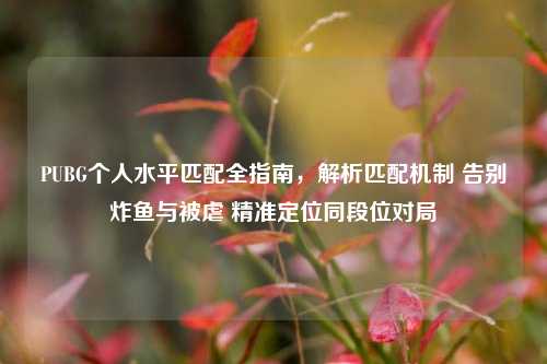 PUBG个人水平匹配全指南,解析匹配机制 告别炸鱼与被虐 精准定位同段位对局