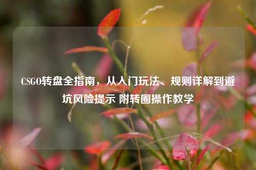 CSGO转盘全指南，从入门玩法、规则详解到避坑风险提示 附转圈操作教学