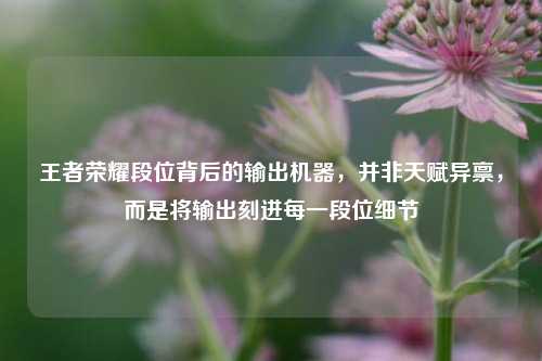 王者荣耀段位背后的输出机器,并非天赋异禀,而是将输出刻进每一段位细节