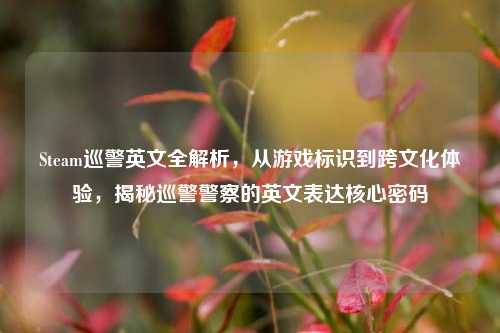 Steam巡警英文全解析,从游戏标识到跨文化体验,揭秘巡警警察的英文表达核心密码