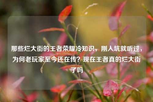 那些烂大街的王者荣耀冷知识,刚入坑就听过,为何老玩家至今还在传?现在王者真的烂大街了吗