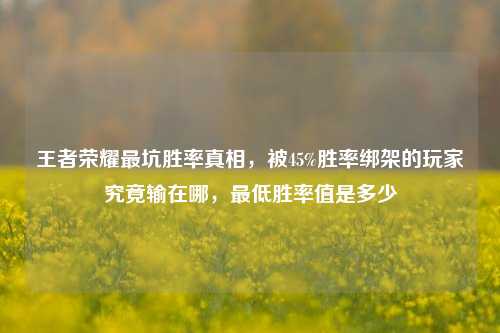 王者荣耀最坑胜率真相,被45%胜率绑架的玩家究竟输在哪,最低胜率值是多少