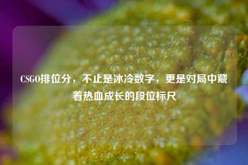 CSGO排位分,不止是冰冷数字,更是对局中藏着热血成长的段位标尺