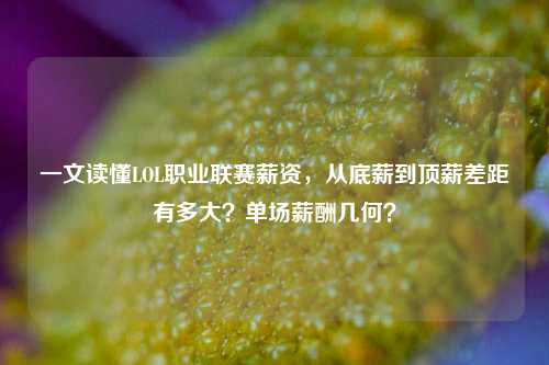 一文读懂LOL职业联赛薪资,从底薪到顶薪差距有多大?单场薪酬几何?