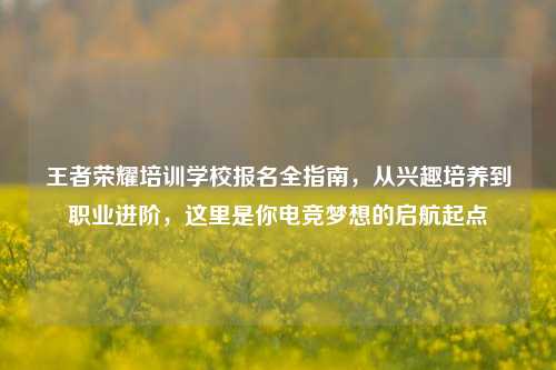 王者荣耀培训学校报名全指南,从兴趣培养到职业进阶,这里是你电竞梦想的启航起点