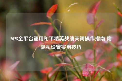 2025全平台通用和平精英战绩关闭操作指南 附隐私设置实用技巧