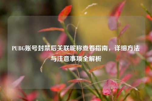 PUBG账号封禁后关联昵称查看指南,详细方法与注意事项全解析