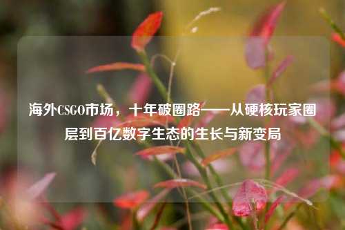 海外CSGO市场,十年破圈路——从硬核玩家圈层到百亿数字生态的生长与新变局