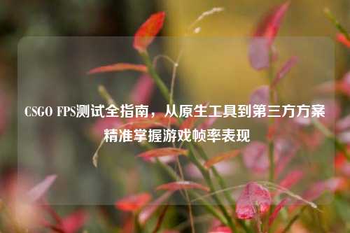 CSGO FPS测试全指南,从原生工具到第三方方案 精准掌握游戏帧率表现