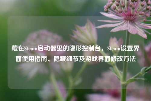 藏在Steam启动器里的隐形控制台,Steam设置界面使用指南、隐藏细节及游戏界面修改方法