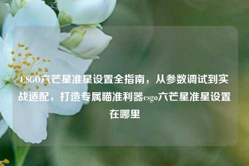 CSGO六芒星准星设置全指南,从参数调试到实战适配,打造专属瞄准利器csgo六芒星准星设置在哪里