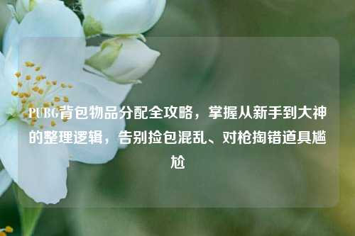 PUBG背包物品分配全攻略,掌握从新手到大神的整理逻辑,告别捡包混乱、对枪掏错道具尴尬
