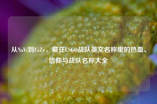 从NaVi到FaZe，藏在CSGO战队英文名称里的热血、信仰与战队名称大全